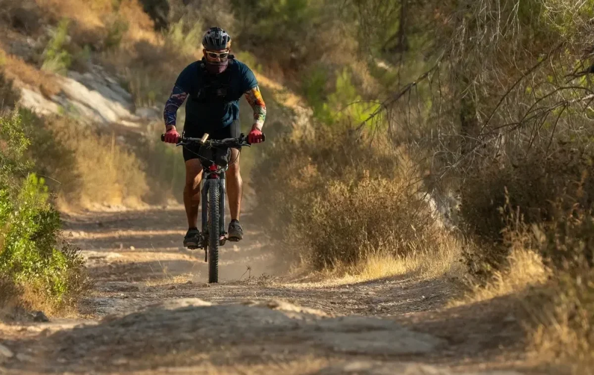 כך תתגוננו מגל החום: הצעדים שיכולים לסייע לכם לעבור את הימים החמים בבטחה