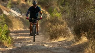 כך תתגוננו מגל החום: הצעדים שיכולים לסייע לכם לעבור את הימים החמים בבטחה