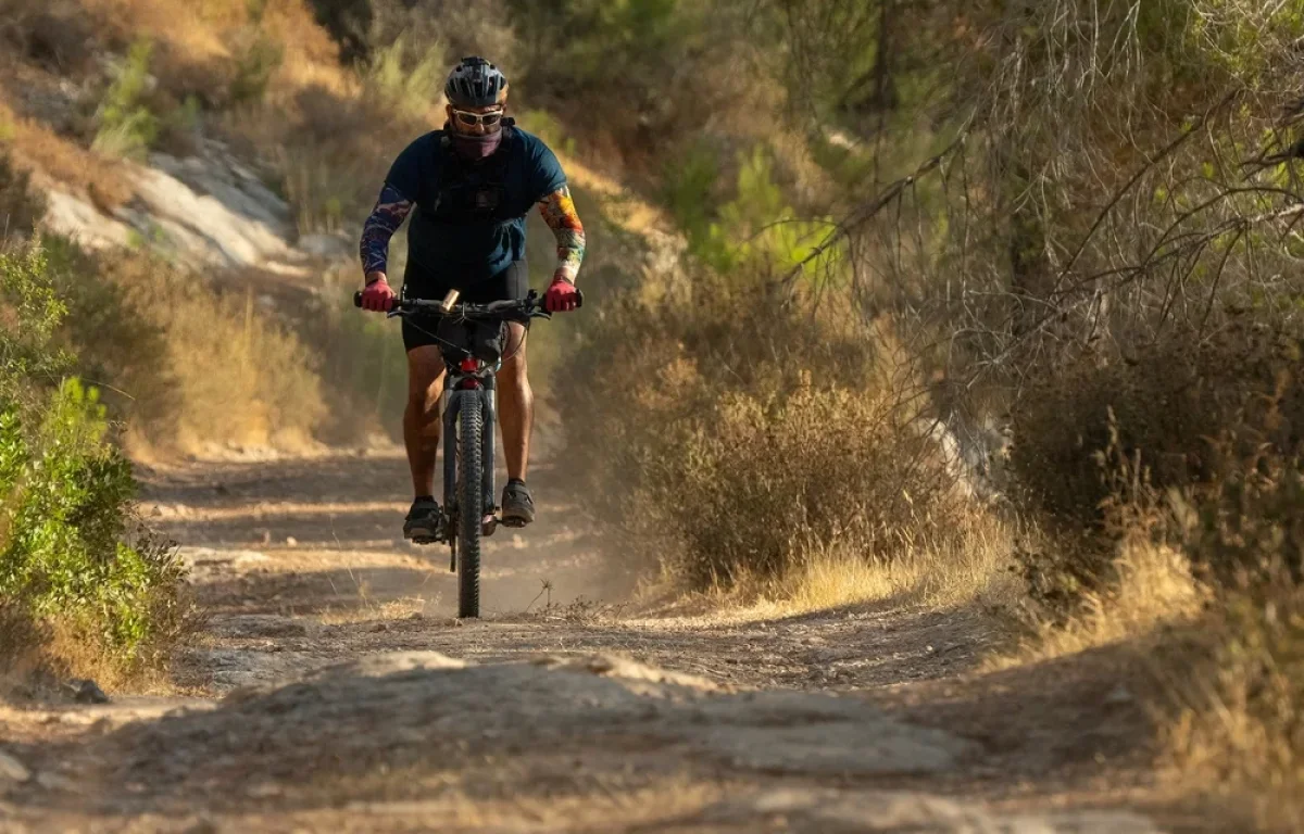 כך תתגוננו מגל החום: הצעדים שיכולים לסייע לכם לעבור את הימים החמים בבטחה כך תתגוננו מגל החום: הצעדים שיכולים לסייע לכם לעבור את הימים החמים בבטחה