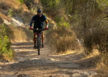 כך תתגוננו מגל החום: הצעדים שיכולים לסייע לכם לעבור את הימים החמים בבטחה כך תתגוננו מגל החום: הצעדים שיכולים לסייע לכם לעבור את הימים החמים בבטחה