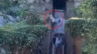 בפארק השעשועים המפורסם: ילד בן 13 נפל מגובה של 15 מטרים