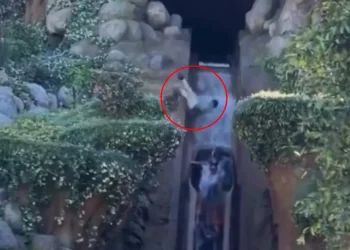 בפארק השעשועים המפורסם: ילד בן 13 נפל מגובה של 15 מטרים