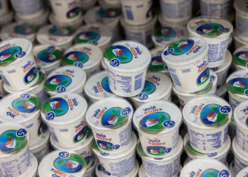 המחסור מורגש על המדפים: משרד הכלכלה יוצא במהלך חדש שצפוי להוזיל את מחירי הגבינות