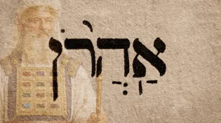 זו הייתה גדולתו האמיתית של אהרן הכהן, ולא מה שחשבתם