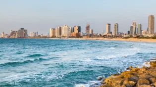 אזהרה למתרחצים: הדג הרעיל שמתפשט בחופי ישראל ועלול לסכן חיים