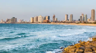 אזהרה למתרחצים: הדג הרעיל שמתפשט בחופי ישראל ועלול לסכן חיים