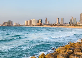 אזהרה למתרחצים: הדג הרעיל שמתפשט בחופי ישראל ועלול לסכן חיים אזהרה למתרחצים: הדג הרעיל שמתפשט בחופי ישראל ועלול לסכן חיים
