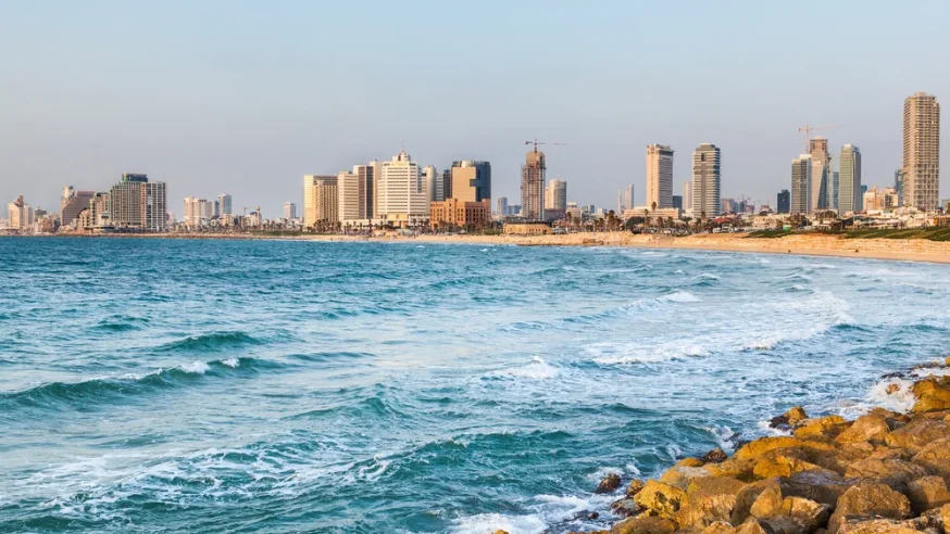 אזהרה למתרחצים: הדג הרעיל שמתפשט בחופי ישראל ועלול לסכן חיים