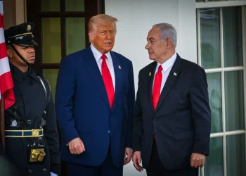 דיווח דרמטי: מודיעין ישראלי חושף תוכנית חדשה נגד טראמפ דיווח דרמטי: מודיעין ישראלי חושף תוכנית חדשה נגד טראמפ