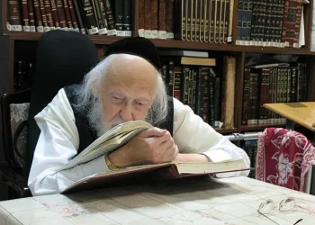 14 שנים לפטירת מרן הגרי"ש אלישיב: 10 עובדות מרתקות על גדול הדור שהקדיש את חייו לתורה 14 שנים לפטירת מרן הגרי"ש אלישיב: 10 עובדות מרתקות על גדול הדור שהקדיש את חייו לתורה