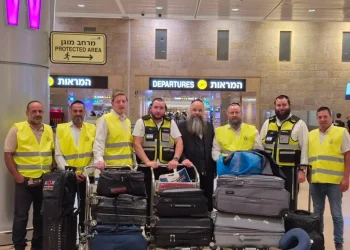 דרמה ברומניה: עבודות להקמת פארק חשפו קברי יהודים עתיקים דרמה ברומניה: עבודות להקמת פארק חשפו קברי יהודים עתיקים