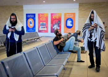 חשש לשיבושים בנתב"ג: עשרות אלפי כרטיסי טיסה עלולים להתבטל, גם הטיסות לאומן בסכנה חשש לשיבושים בנתב"ג: עשרות אלפי כרטיסי טיסה עלולים להתבטל, גם הטיסות לאומן בסכנה