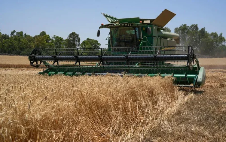 החום חוזר ובגדול: זה היום שבו הטמפרטורות יזנקו ברחבי הארץ