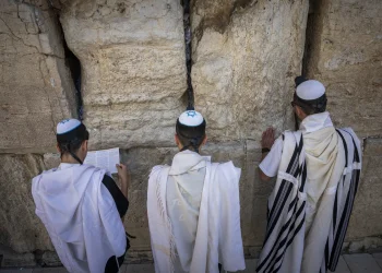מה משתנה מראש חודש אב? המדריך ההלכתי שיעשה לכם סדר מה משתנה מראש חודש אב? המדריך ההלכתי שיעשה לכם סדר