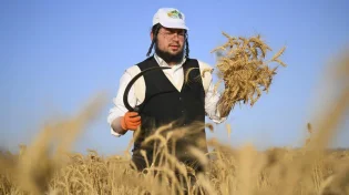 החום רק מתחיל: השרב והלחות ימשיכו ללוות אותנו גם בימים הקרובים
