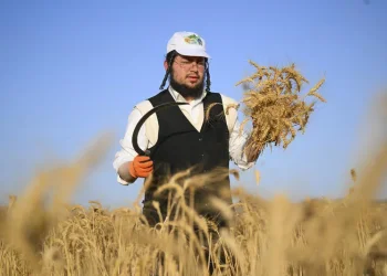 החום רק מתחיל: השרב והלחות ימשיכו ללוות אותנו גם בימים הקרובים החום רק מתחיל: השרב והלחות ימשיכו ללוות אותנו גם בימים הקרובים