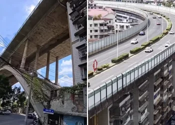 לא תאמינו איפה הם גרים: השכונה שנבנתה ממש מתחת לגשר ענק לא תאמינו איפה הם גרים: השכונה שנבנתה ממש מתחת לגשר ענק