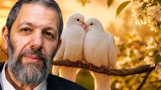 סגולות עצומות לתשעת הימים לשלום בית ושלום במשפחה