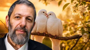 סגולות עצומות לתשעת הימים לשלום בית ושלום במשפחה