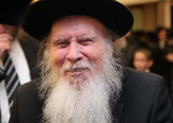 הרב אריה פינקל זצ"ל הרב אריה פינקל זצ"ל