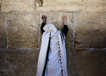 העתירו בתפילות: עם ישראל מתאחד בתפילה לרפואת התינוקת | הכנסו לקריאת פרק תהלים העתירו בתפילות: עם ישראל מתאחד בתפילה לרפואת התינוקת | הכנסו לקריאת פרק תהלים