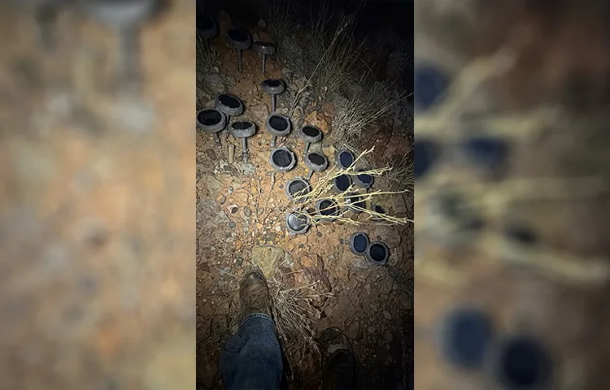 "היה נראה כמו סוף העולם": זה מה שהתגלה באמצע יער בבריטניה "היה נראה כמו סוף העולם": זה מה שהתגלה באמצע יער בבריטניה