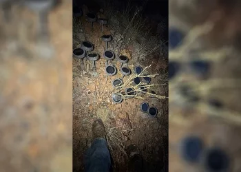 "היה נראה כמו סוף העולם": זה מה שהתגלה באמצע יער בבריטניה "היה נראה כמו סוף העולם": זה מה שהתגלה באמצע יער בבריטניה