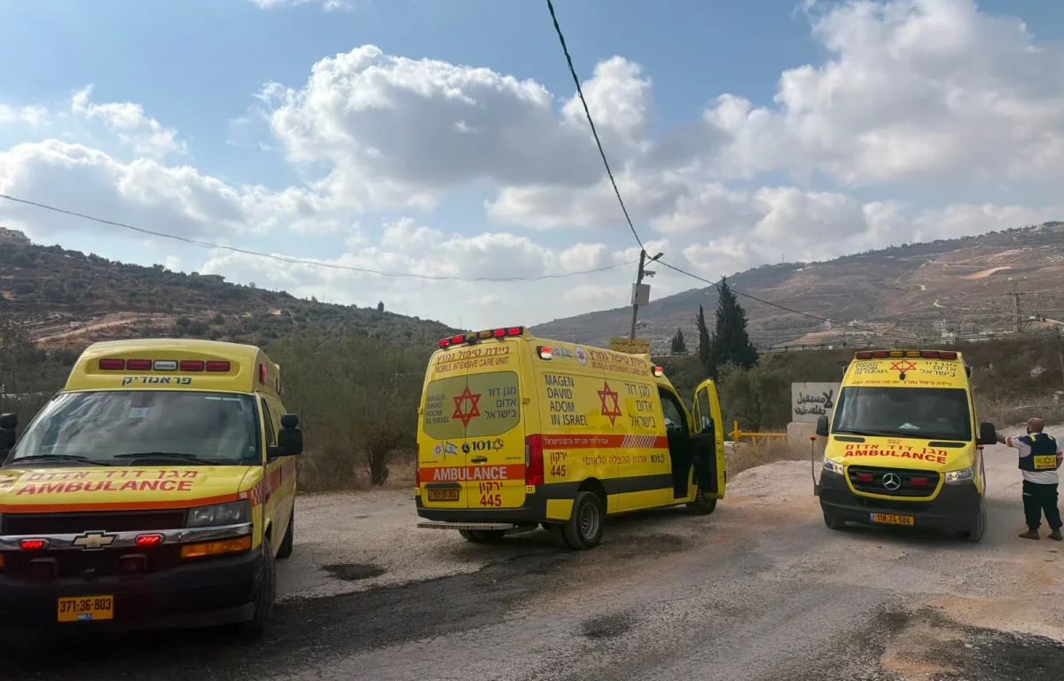 הפיגוע הקטלני בשומרון (צילום: דוברות מד"א) הפיגוע הקטלני בשומרון (צילום: דוברות מד"א)