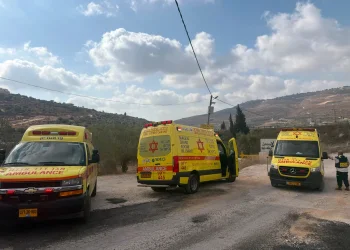 הפיגוע הקטלני בשומרון (צילום: דוברות מד"א) הפיגוע הקטלני בשומרון (צילום: דוברות מד"א)