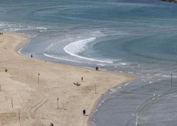 עם האזהרה שיצאה הבוקר על חופי ישראל: הרחצה עלולה להיות מסוכנתפתיחת בין הזמנים: האזהרה לכל מי שמתכנן ללכת לים עם האזהרה שיצאה הבוקר על חופי ישראל: הרחצה עלולה להיות מסוכנתפתיחת בין הזמנים: האזהרה לכל מי שמתכנן ללכת לים