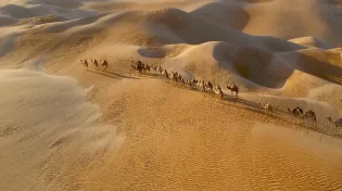 לא רק חול: 9 עובדות מפתיעות שלא ידעתם על מדבר סהרה