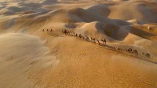 לא רק חול: 9 עובדות מפתיעות שלא ידעתם על מדבר סהרה