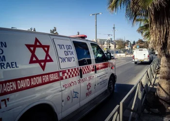 העתירו בתפילות: ילדה בת 3 נחנקה מענב ופונתה לבית החולים כשהיא במצב קשה