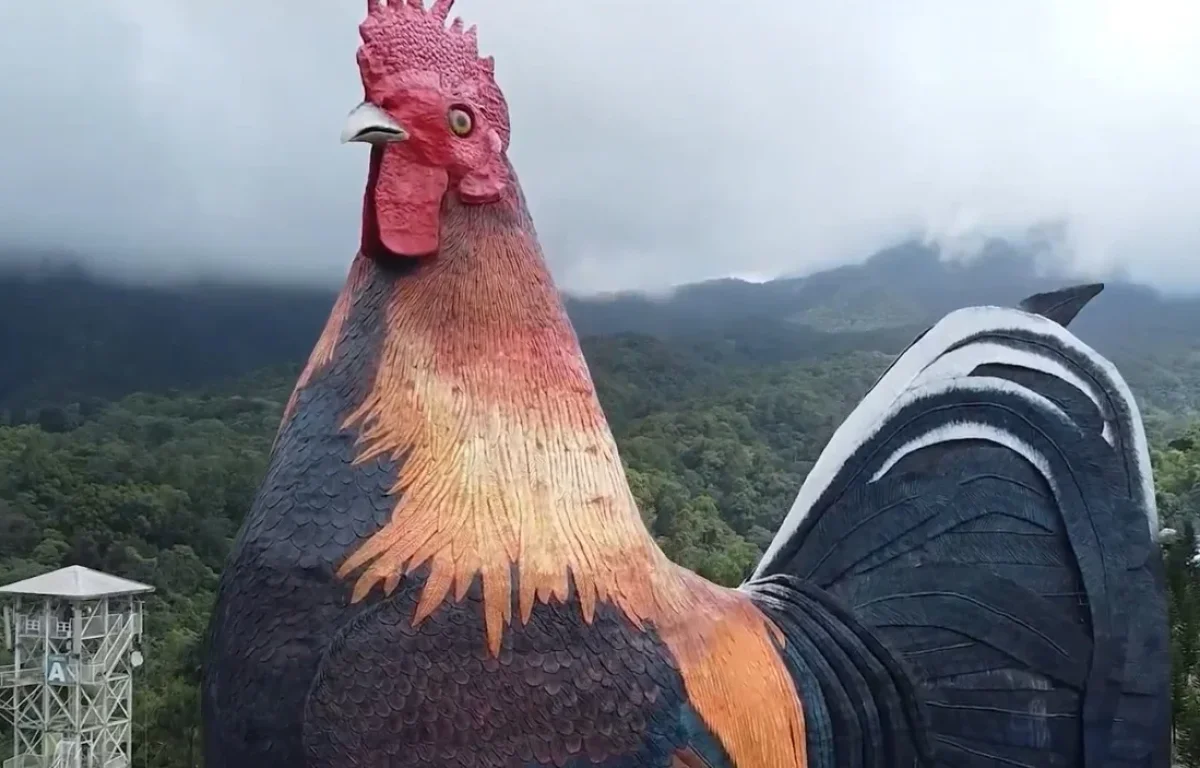 נראה כמו תרנגול ענק: המלון הזה שבר שיא עולמי נראה כמו תרנגול ענק: המלון הזה שבר שיא עולמי