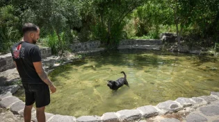 החום רק מתגבר: זה מה שמחכה לכם עד תחילת השבוע
