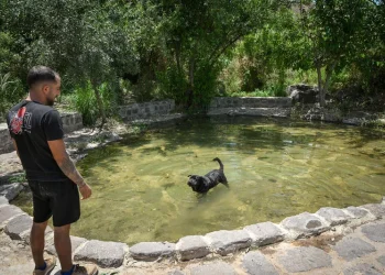 החום רק מתגבר: זה מה שמחכה לכם עד תחילת השבוע