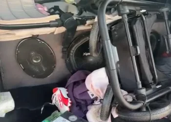 ניסה להיכנס לישראל בתוך רמקול: הלוחמים הופתעו ממה שמצאו בתא המטען ניסה להיכנס לישראל בתוך רמקול: הלוחמים הופתעו ממה שמצאו בתא המטען