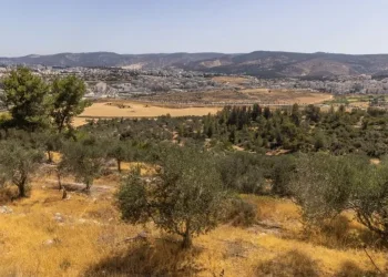 אחרי הימים הלוהטים: זה השינוי שמתחיל כבר היום במזג האוויר אחרי הימים הלוהטים: זה השינוי שמתחיל כבר היום במזג האוויר