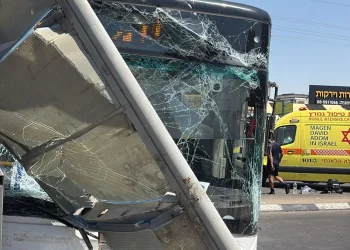 טרגדיה באשקלון: אישה נהרגה מפגיעת אוטובוס, שתי נשים נוספות נפצעו טרגדיה באשקלון: אישה נהרגה מפגיעת אוטובוס, שתי נשים נוספות נפצעו