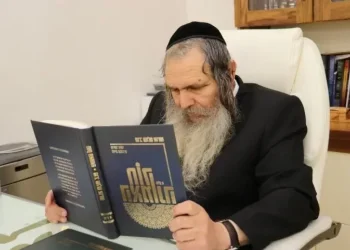 טרגדיה קשה: נכדו בן ה-4 של הגאון רבי שלום ארוש טבע למוות במקסיקו טרגדיה קשה: נכדו בן ה-4 של הגאון רבי שלום ארוש טבע למוות במקסיקו
