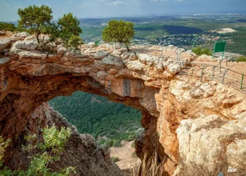 עומסי חום כבדים ברחבי הארץ. והאם צפויה הקלה בקרוב? עומסי חום כבדים ברחבי הארץ. והאם צפויה הקלה בקרוב?