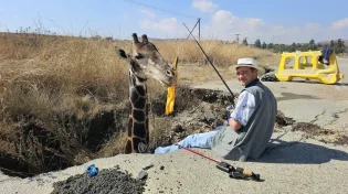 כוחות ההצלה הוזעקו לחלץ ג'ירפה מבור: כשהגיעו למקום הם נדהמו