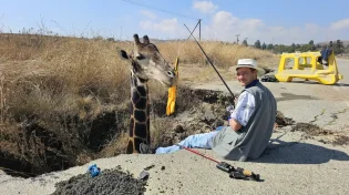 כוחות ההצלה הוזעקו לחלץ ג'ירפה מבור: כשהגיעו למקום הם נדהמו