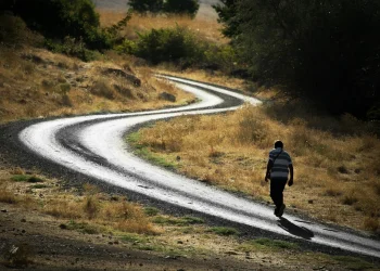 העבר לא קובע מי תהיו: הטעות שמשאירה אנשים תקועים במקום העבר לא קובע מי תהיו: הטעות שמשאירה אנשים תקועים במקום