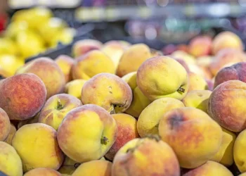 אל תבחרו את האפרסק הכי אדום: הטעות שרבים עושים בקנייה אל תבחרו את האפרסק הכי אדום: הטעות שרבים עושים בקנייה