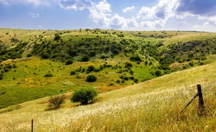 לאהוב את אבא שבשמיים ואת אבא שבארץ