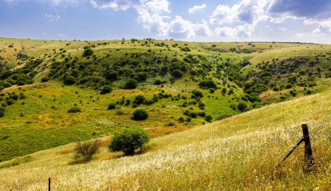 לאהוב את אבא שבשמיים ואת אבא שבארץ