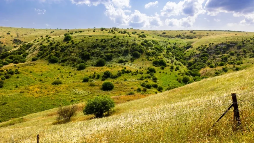 לאהוב את אבא שבשמיים ואת אבא שבארץ לאהוב את אבא שבשמיים ואת אבא שבארץ