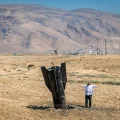 החשש גובר: איראן עלולה לצרף את ישראל למערכה