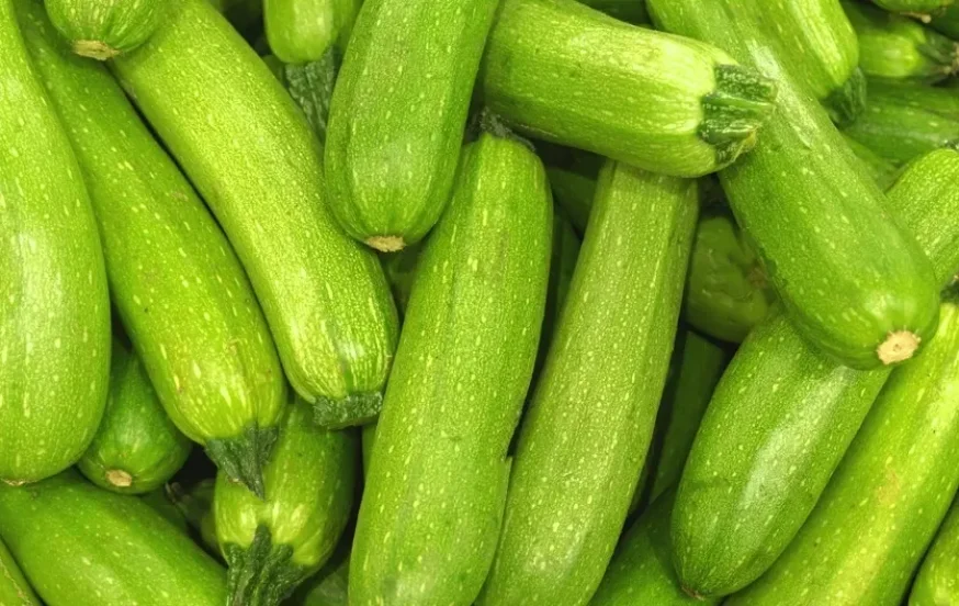 קישואים קישואים